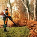 Benzin-Rucksackgebläse BR 700