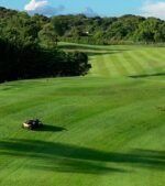 Kabelloser Mähroboter – YARBO PRO für bis zu 25.000 m² – Bild 4